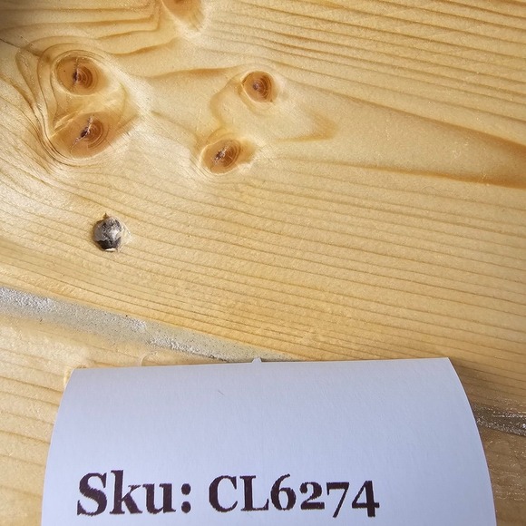 Justin Mens Leather Western Cowboy Belt Size 32‎ Brown Distressed Made in USA - Picture 11 of 11